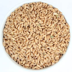 Hard White Wheat Berries, Organic, 9 LB